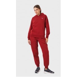 PUMA Loungerwear Suit FL 