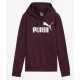 PUMA ESS+ Metallic Logo Hoodie FL 