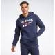 REEBOK RI FLC BIG LOGO HOOD